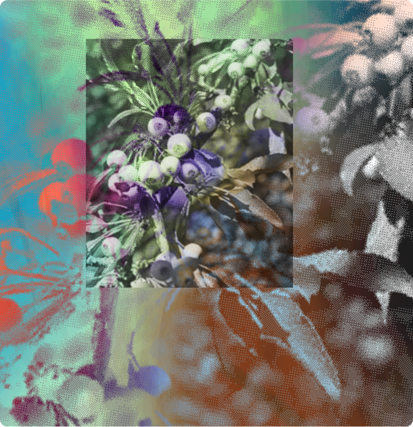 Artistic collage showing abstract patterns and purple flowers